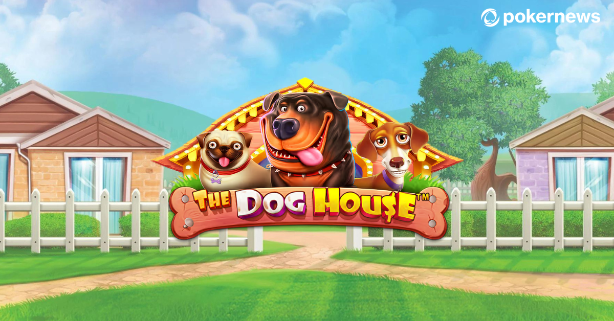 The dog house